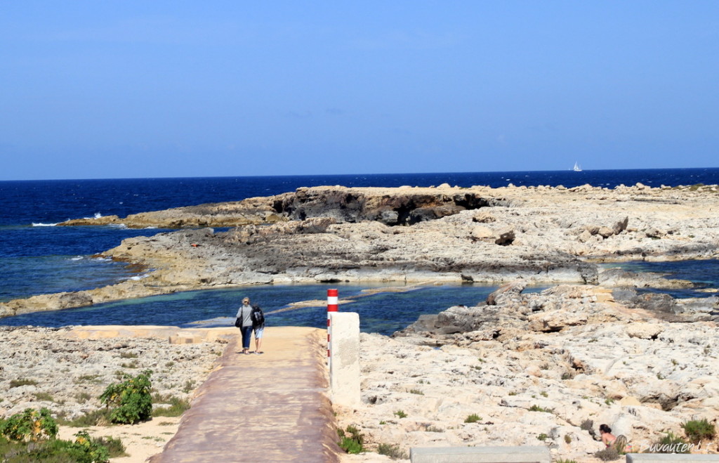 Sodriai mėlyna Viduržiemio jūra skalauja Maltos krantus