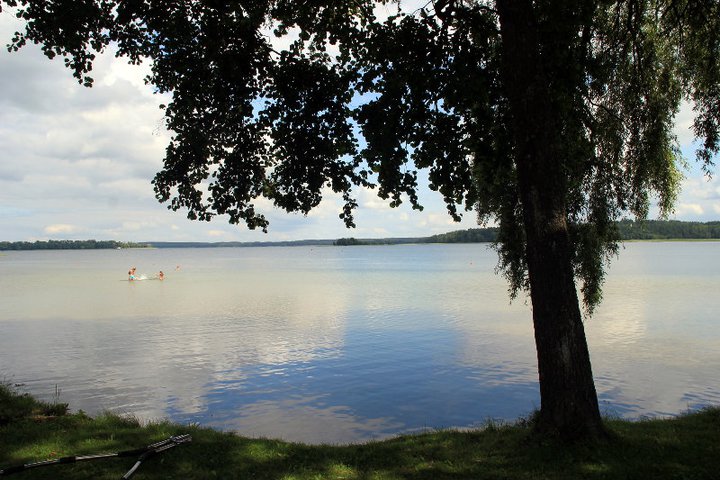 Ežero pakrantė