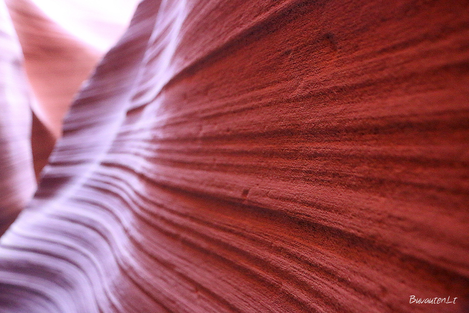 Smitainio sienos kanjone