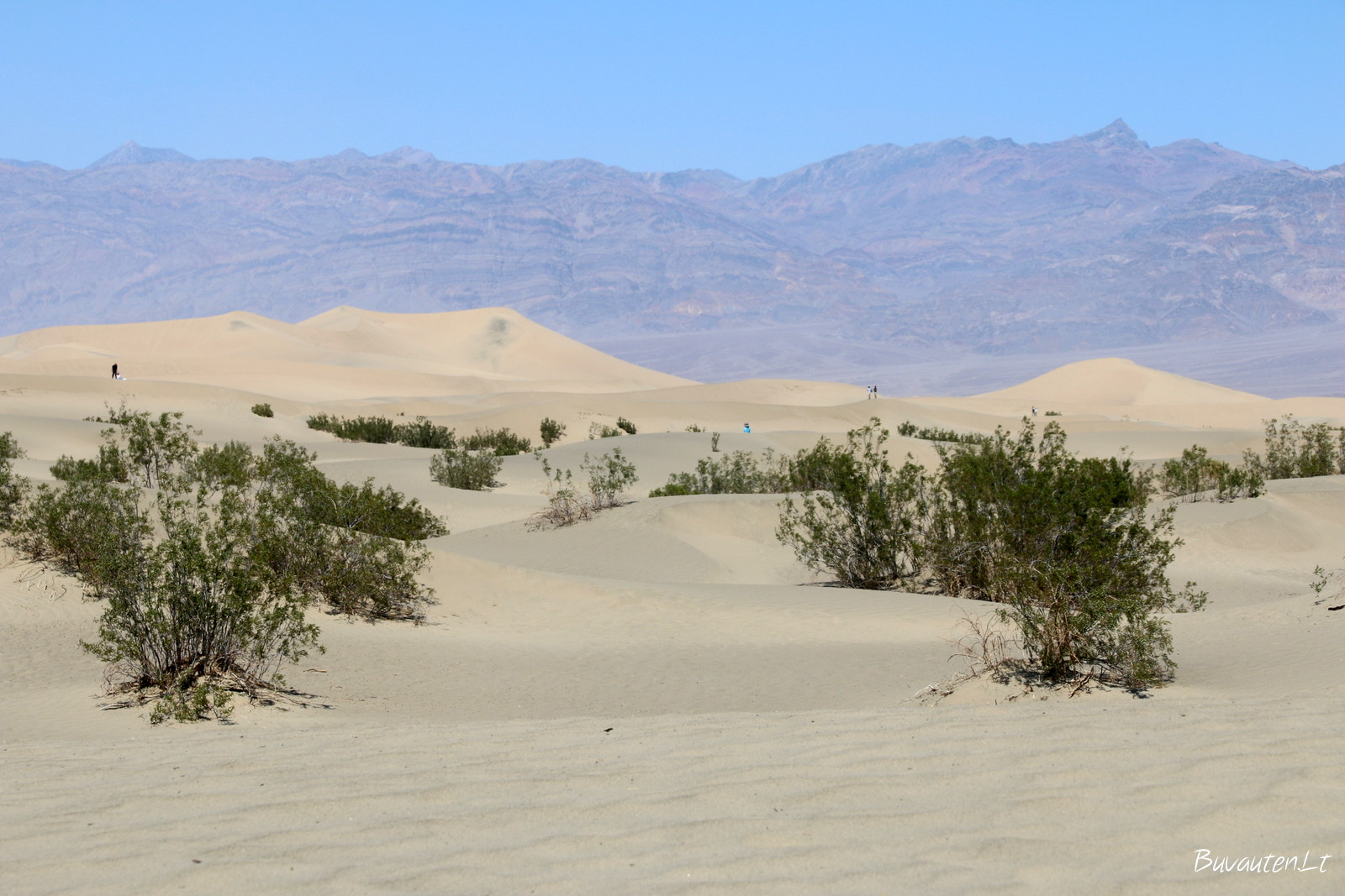 Smėlio kopų dykuma, kur stebėjomis lyg auksu tviskančiu smėliu