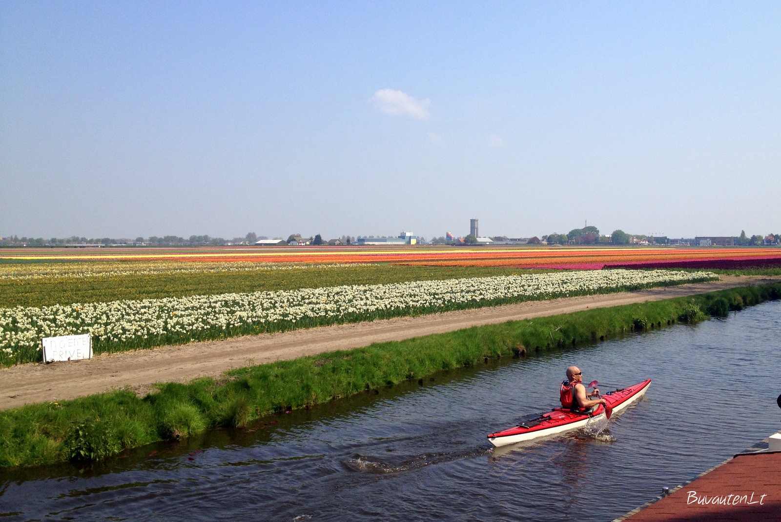 Kanalai ir tulpių laukai parke