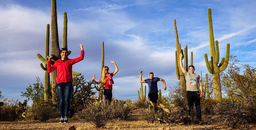 Kelionė Po Amerika Arizona Saguaro Parkas Ir Kaktusai Gigantai Buvauten Lt